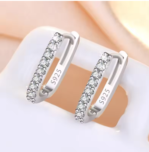 ✔ 925 Sterling Silver Circle Earrings – Zircon Luxury Jewelry