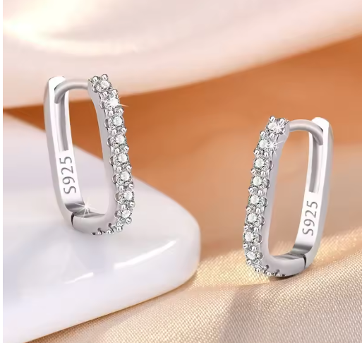 ✔ 925 Sterling Silver Circle Earrings – Zircon Luxury Jewelry