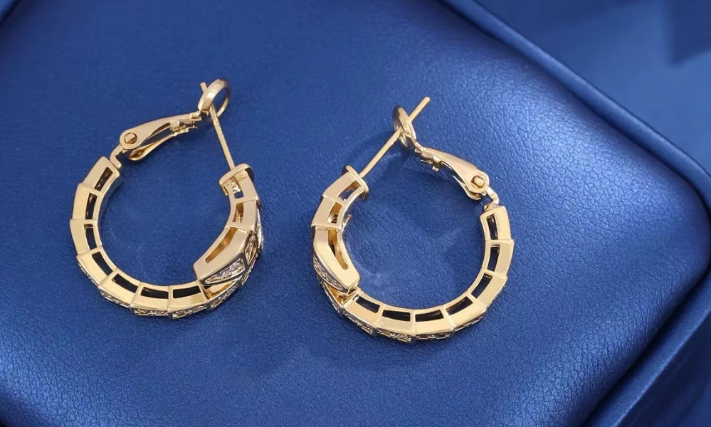 Trendy Snake-Shaped Micro-Paved Zircon Earrings for Women – Korean Style Fashion Snake Bone Ear Studs