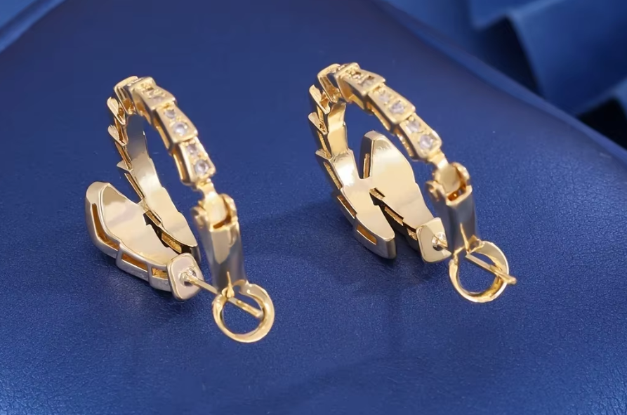 Trendy Snake-Shaped Micro-Paved Zircon Earrings for Women – Korean Style Fashion Snake Bone Ear Studs