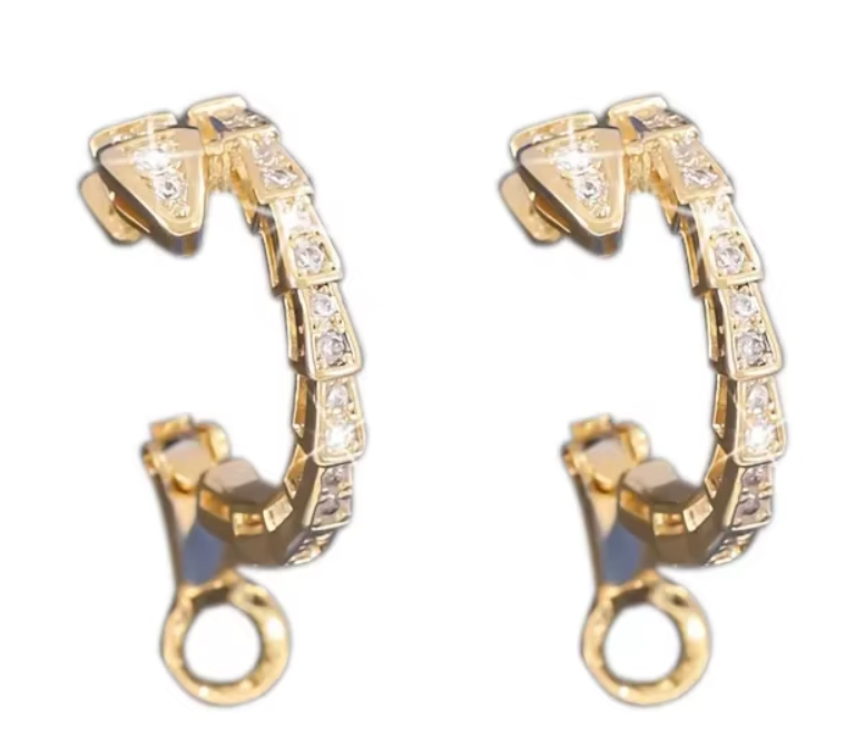 Trendy Snake-Shaped Micro-Paved Zircon Earrings for Women – Korean Style Fashion Snake Bone Ear Studs