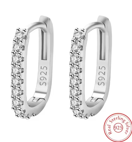 ✔ 925 Sterling Silver Circle Earrings – Zircon Luxury Jewelry